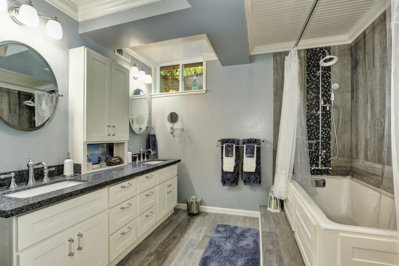 Master Bathroom Renovations